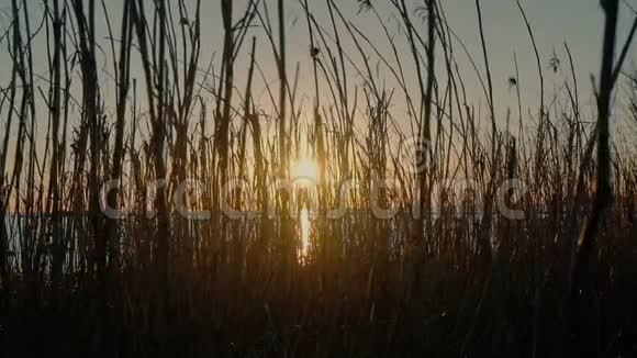 海滩上美丽的风景日落视频的预览图