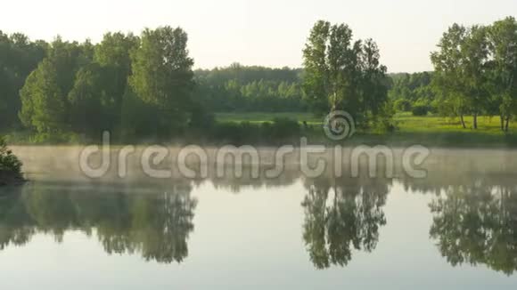 在森林湖美丽的清晨视频的预览图