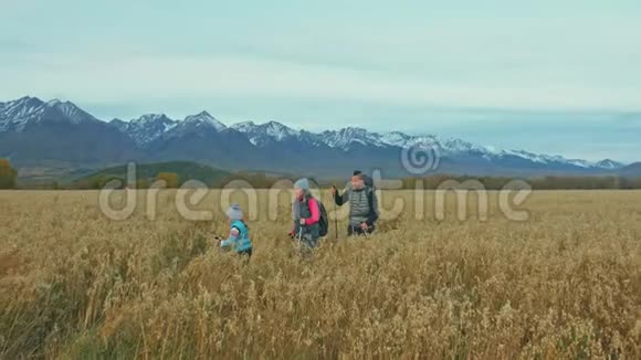 人们在麦田里走在美丽的山脉附近家庭旅行人的环境由山父母和孩子视频的预览图