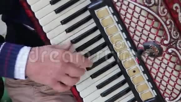 钢琴手风琴音乐家视频的预览图