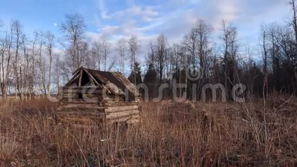 森林中的小木屋视频的预览图