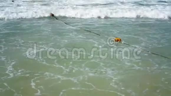沙滩度假背景下的海浪视频的预览图