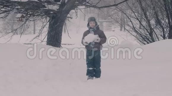 孩子们在雪地里公园里玩男孩的肖像视频的预览图
