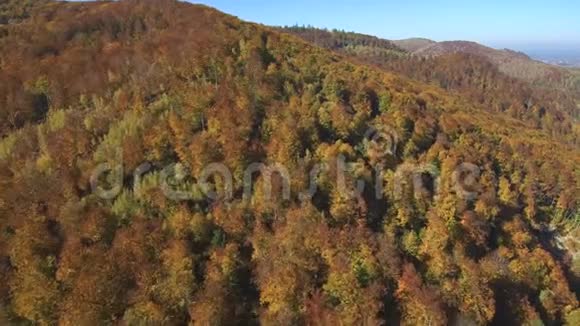 空中从Drone俯视用森林和河流飞越山上视频的预览图
