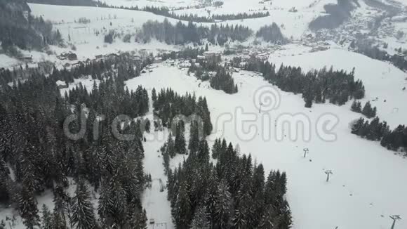 飞越喀尔巴阡山的滑雪场空中俯瞰人们在滑雪板上下降视频的预览图