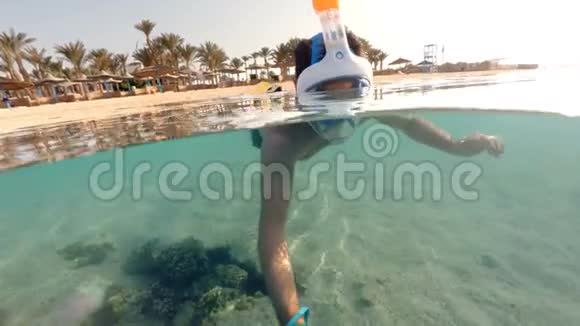 斯诺克尔在埃及红海的浅水中游泳视频的预览图