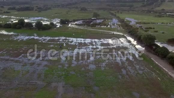 暴雨过后无人驾驶的洪水淹没了农田和河流俯视着这片土地视频的预览图