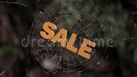 蜘蛛网销售摘要视频的预览图