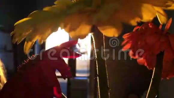 窗前的花瓶里放着迷人的亮黄橙黄红的花朵使自己散发出来的光芒上视频的预览图