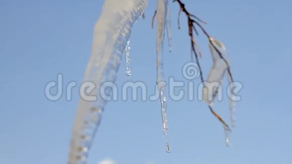 美丽的冰柱在蓝天的映衬下闪闪发光视频的预览图