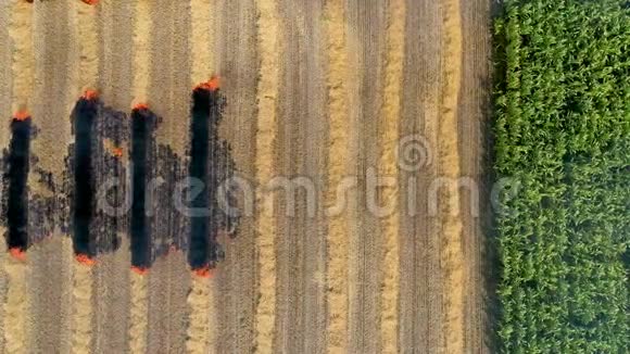 农民焚烧植被残坡从而降低土壤肥力和环境退化视频的预览图