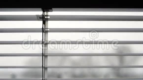 贾鲁西百叶窗特写细节雾窗视频的预览图