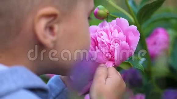 一个小可爱的宝宝轻轻地享受着花香孩子拿起一朵花吸入它的芬芳化名视频的预览图