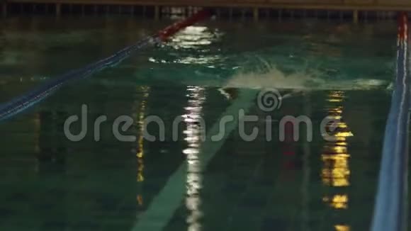 年轻人在游泳池里游泳动感和健康的游泳运动员进行蝶泳视频的预览图
