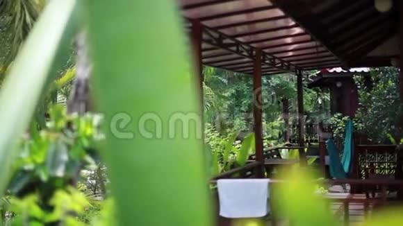 豪华的热带植物在一个温泉度假胜地与吊床在露台上的丛林模糊的博克从植物和视频的预览图