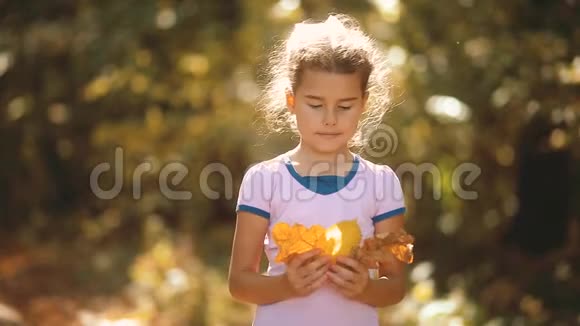 黄秋林中的小姑娘美丽的阳光小女孩走在秋天的森林生活方式自然视频的预览图