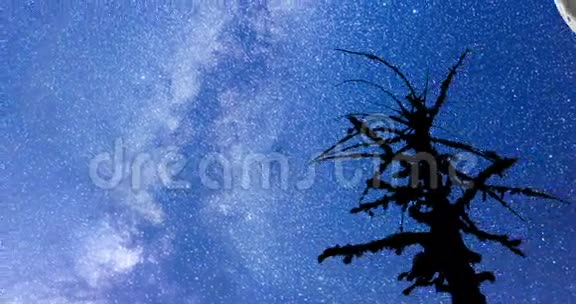 银河系死树剪影满月4k时间流逝潘潘视频的预览图