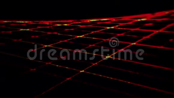 分数网格红色地毯的垂直图片视频的预览图