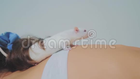 小女孩和一只白色自制的老鼠在床上玩耍有趣的视频老鼠爬过小女孩视频的预览图