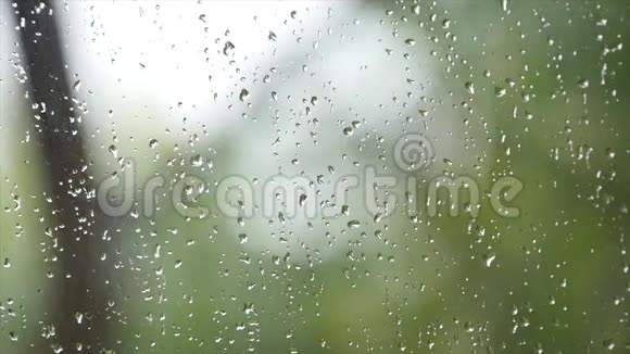 清新的雨滴滴在窗户上背景绿色自然在布鲁尔视频的预览图