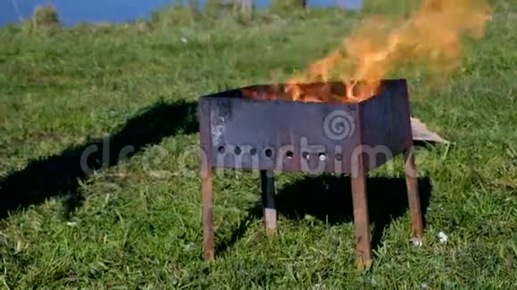 烧烤火自然视频的预览图