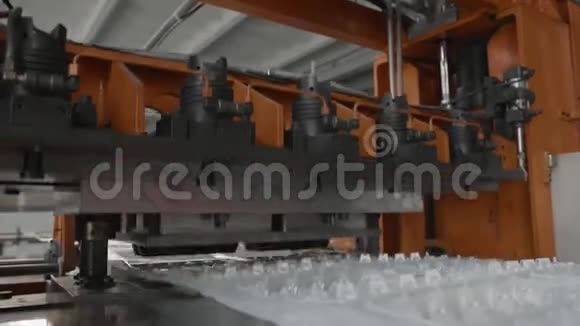 一次性食品包装制品制造厂鸡蛋容器生产线视频的预览图