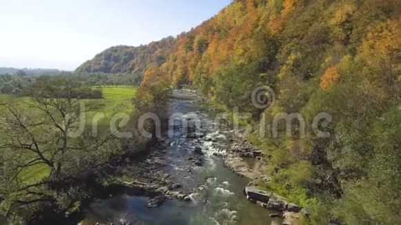 空中从Drone俯视用森林和河流飞越山上视频的预览图