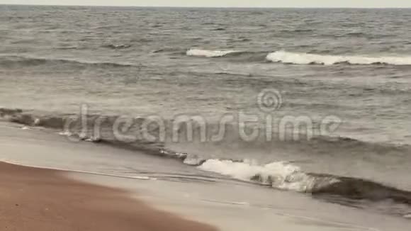 波罗的海沿岸多雨阴天视频的预览图