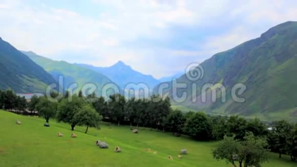 风景如画的山景格鲁吉亚高山中的果园蓝天白云山区村视频的预览图