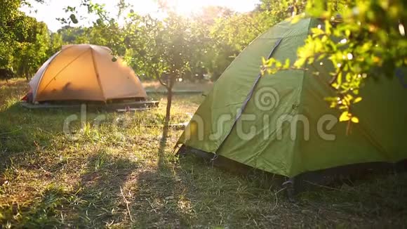 露营地石榴树间的帐篷视频的预览图