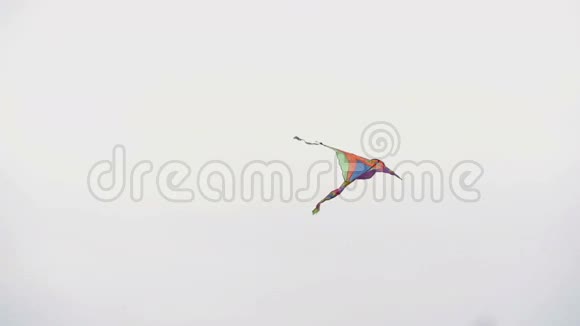 天空中风筝的低视角视频的预览图
