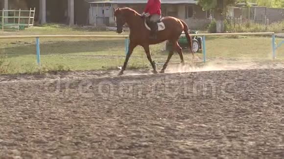 少女骑在马场上的一匹棕马上视频的预览图