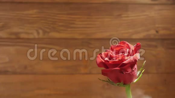 背景烟雾中木背景上的红玫瑰视频的预览图