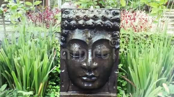 在巴厘岛乌布德的热带花园里有落水的佛陀视频的预览图