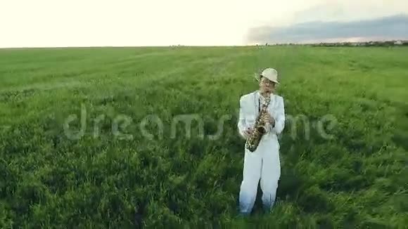 萨克斯演奏家站在绿色的田野中间空中摄影视频的预览图