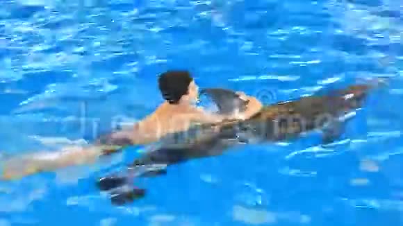 儿童和海豚小男孩游泳时海豚紧紧抓住鳍视频的预览图