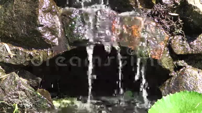 水滴入鱼塘视频的预览图