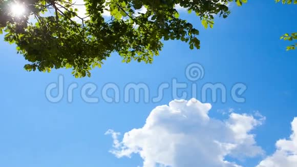蓝天背景白云和绿树枝视频的预览图