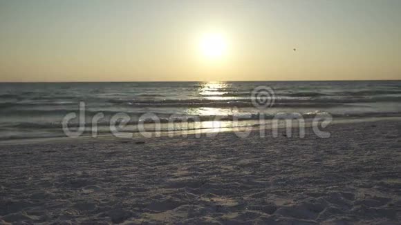在日落时的沙滩上散步的情侣23人中的10人视频的预览图