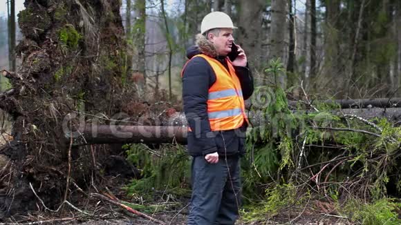 森林检查员带着智能手机在森林被毁的树木附近视频的预览图