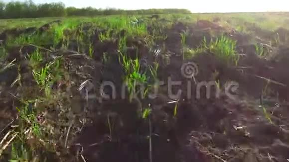 慢场运动稳定与小绿镜头春天的田野里有蓝天犁地犁地视频的预览图