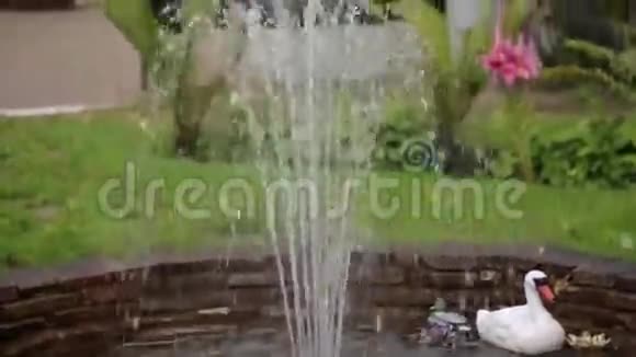 庭院喷泉在北欧小镇有喷泉的庭院饮水机美丽的基本容器视频的预览图