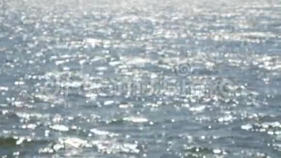 水面上有波浪闪闪发光在阳光下闪闪发光视频的预览图
