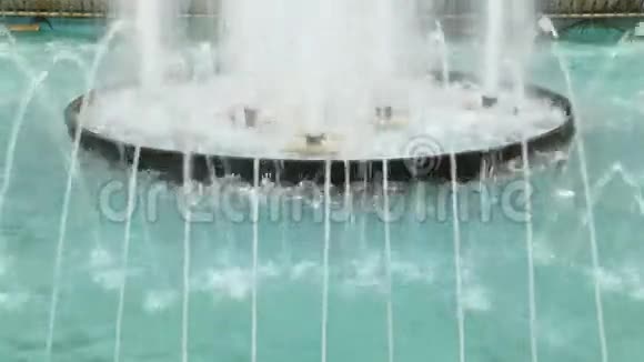 花园里的特写喷泉水视频的预览图