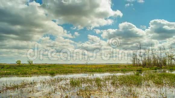 春在沼泽倒影云在水中时光流逝视频的预览图