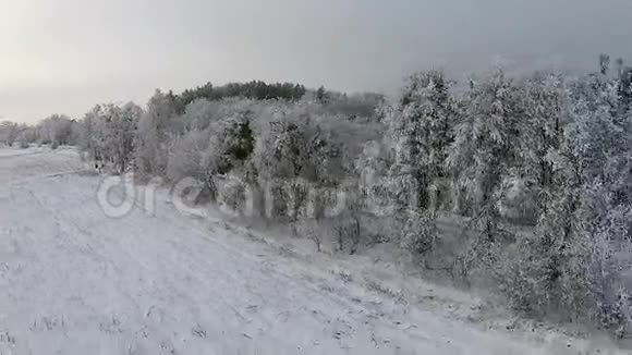 空中拍摄白雪覆盖的树木视频的预览图