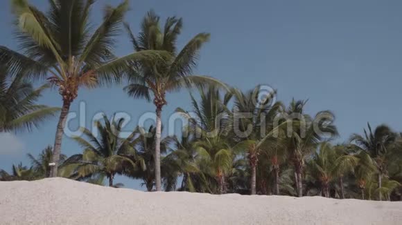 美丽的热带度假胜地景色白沙椰子棕榈和蓝天视频的预览图