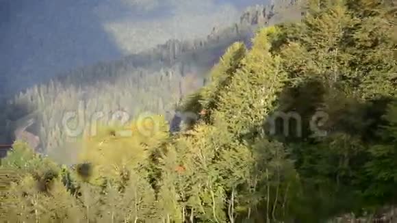 从缆车上俯瞰山坡视频的预览图
