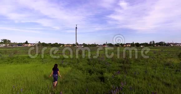 女孩正走在田野里在羽扇豆花丛中视频的预览图