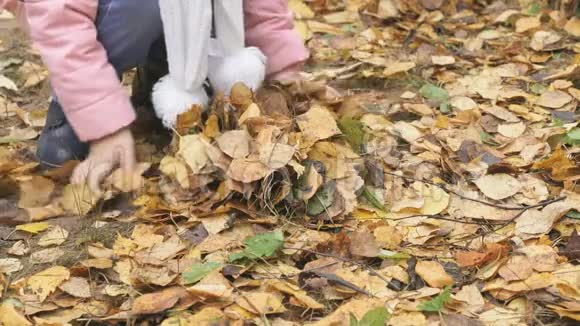 秋天公园里不知名的小女孩视频的预览图